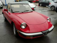 1987 ALFA ROMEO SPIDER VEL ZARBA5589H1048769