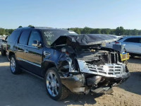 2010 CADILLAC ESCALADE P 1GYUKCEF2AR275189