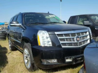 2013 CADILLAC ESCALADE P 1GYS3DEF3DR346835