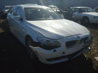 2013 BMW 528 XI WBAXH5C5XDDW12830