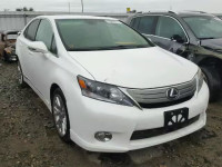 2010 LEXUS HS 250H JTHBB1BA8A2024131