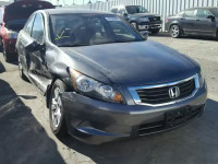 2010 HONDA ACCORD LXP 1HGCP2F48AA141118