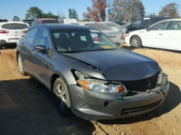 2010 HONDA ACCORD LXP 1HGCP2F41AA091954