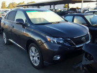 2010 LEXUS RX 450 JTJBC1BA5A2014491