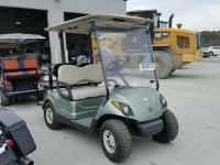 2013 GOLF CART JW9315324