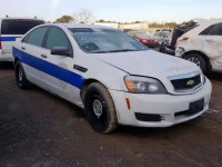 2011 CHEVROLET CAPRICE PO 6G1MK5E23BL564256
