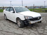 2007 CHEVROLET MALIBU SS 1G1ZW57167F189335