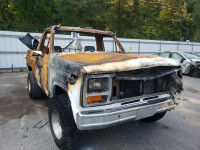 1984 FORD BRONCO U10 1FMEU15F2ELA18644