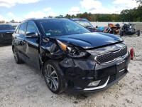 2019 KIA NIRO TOURI KNDCE3LC4K5216249