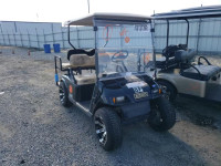 2013 GOLF CART 2850353