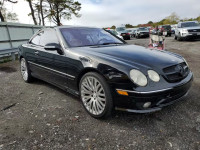 2002 MERCEDES-BENZ CL 55 AMG WDBPJ73J12A029933