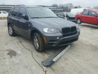 2011 BMW X5 5UXZW0C50BL660214