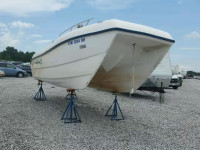 2003 Seac Seacat Boa UJSF2304A303