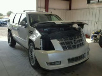 2010 CADILLAC ESCALADE P 1GYUKDEFXAR273082