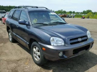 2006 HYUNDAI SANTA FE KM8SC73E56U102326