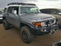 2011 TOYOTA FJ CRUISER JTEBU4BF1BK107812