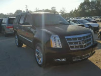 2013 CADILLAC ESCALADE P 1GYS4DEF0DR351603