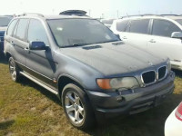 2003 BMW X5 5UXFA53543LV84836