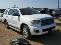2010 TOYOTA SEQUOIA 5TDKY5G11AS024948
