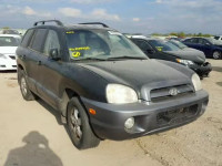 2006 HYUNDAI SANTA FE KM8SC13D96U104925