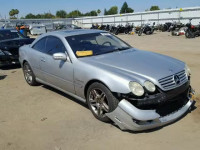 2003 MERCEDES-BENZ CL WDBPJ74J33A034048