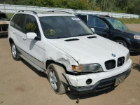 2002 BMW X5 5UXFA53522LP37518
