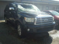 2010 TOYOTA SEQUOIA 5TDYY5G17AS026651