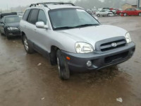 2006 HYUNDAI SANTA FE KM8SC13E96U038563