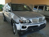 2005 BMW X5 5UXFB53585LV18435