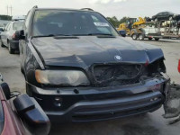 2001 BMW X5 WBAFB335X1LH13839