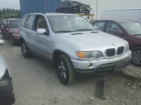 2003 BMW X5 5UXFA53513LV83823