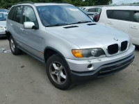 2002 BMW X5 5UXFA53502LP28476