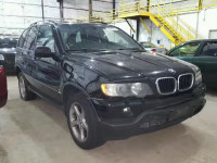 2003 BMW X5 5UXFA53573LV87942