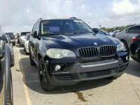 2007 BMW X5 5UXFE43517L039939