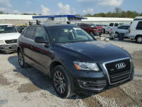 2009 AUDI Q5 WA1KK78RX9A018389