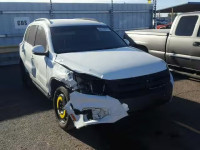 2016 VOLKSWAGEN TIGUAN WVGBV7AX1GW583132