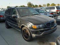 2002 BMW X5 5UXFA53572LP33710