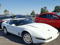 1991 CHEVROLET CORVETTE 1G1YY2381M5103678