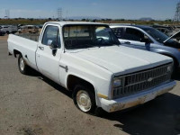 1981 CHEVROLET C10 1GCCC14D7BJ141278