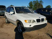 2001 BMW X5 WBAFA53591LP20115