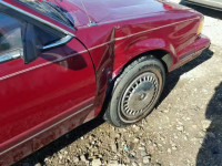 1996 BUICK CENTURY 1G4AG55M9T6405473