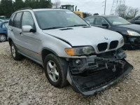 2001 BMW X5 WBAFA53501LM89718