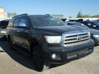 2010 TOYOTA SEQUOIA 5TDDY5G12AS028774