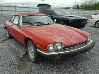 1990 JAGUAR XJS SAJNW5844LC168477