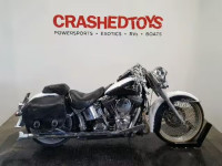 2009 HARLEY-DAVIDSON FLSTN 1HD1JD5179Y055911