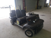 2013 GOLF CART 1G9BA4218DG411457