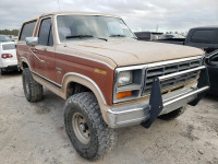 1984 FORD BRONCO U10 1FMEU15H6ELA36453