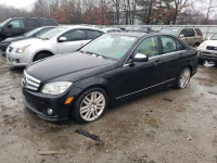 2009 MERCEDES-BENZ 300-CLASS WDDGF81XX9R080123