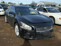 2009 NISSAN MAXIMA S 1N4AA51E89C812981