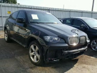 2009 BMW X6 5UXFG83579LZ92823